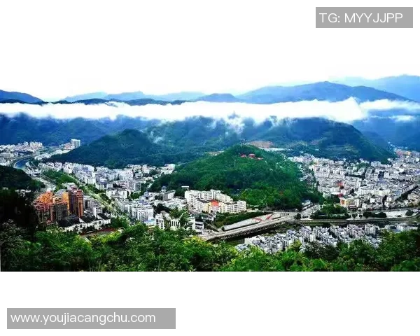 全球总决赛特别报道：LNG战队的辉煌征程与突破之路