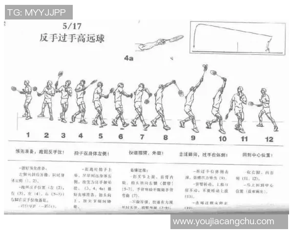 深入探讨上海羽毛球队各队员实力对比及未来发展潜力分析