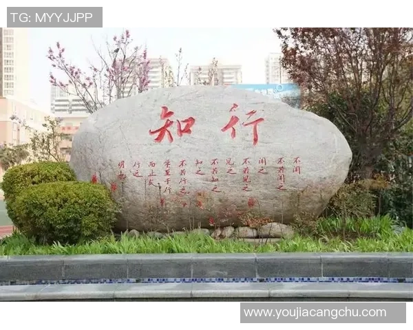 西安乒乓球队的转型之路与深度解析乒乓球运动的未来发展 西安乒乓球队的转型之路与深度解析乒乓球运动的未来发展